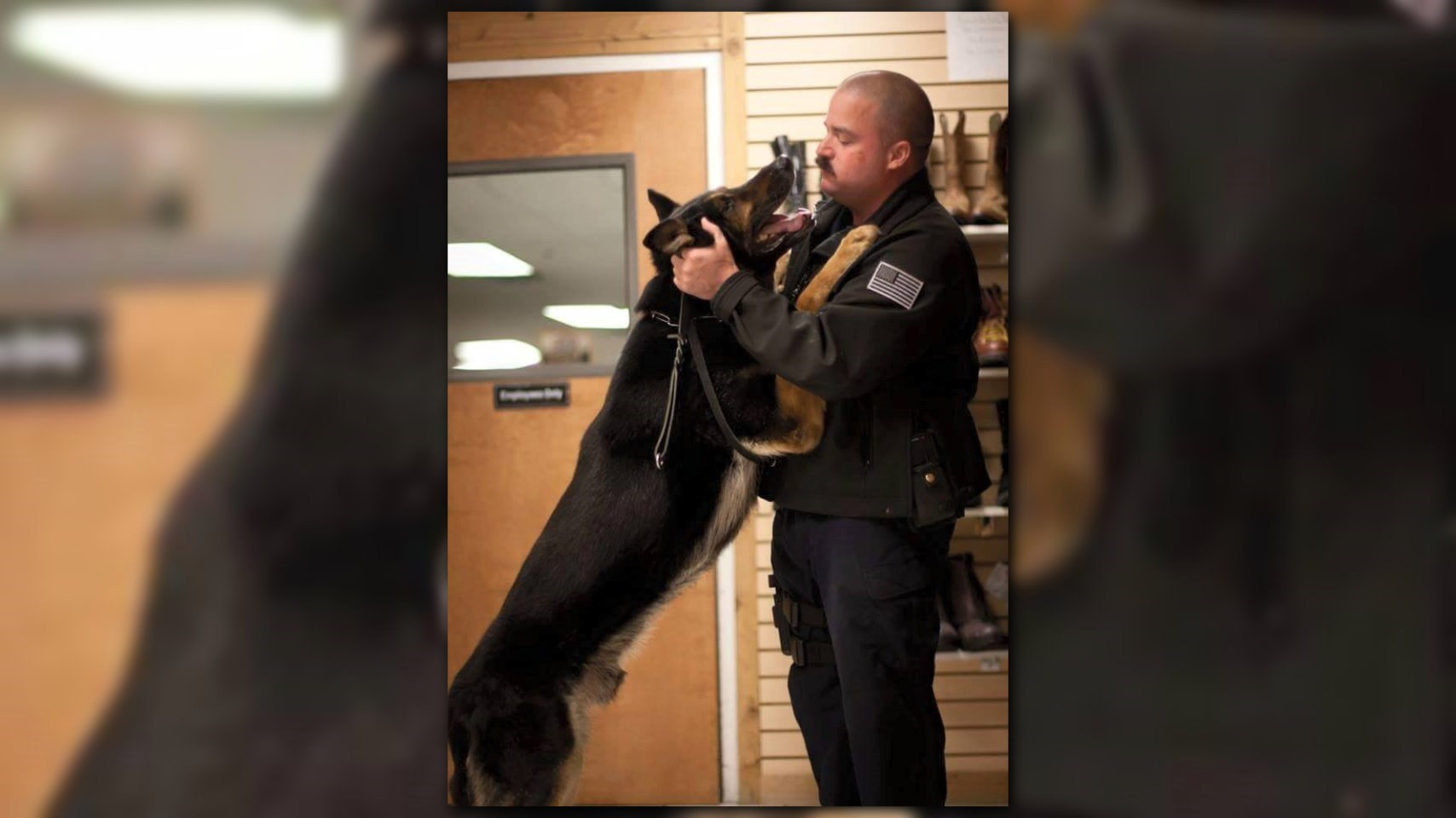 Post Falls Police Departments First K9 Dies 1411